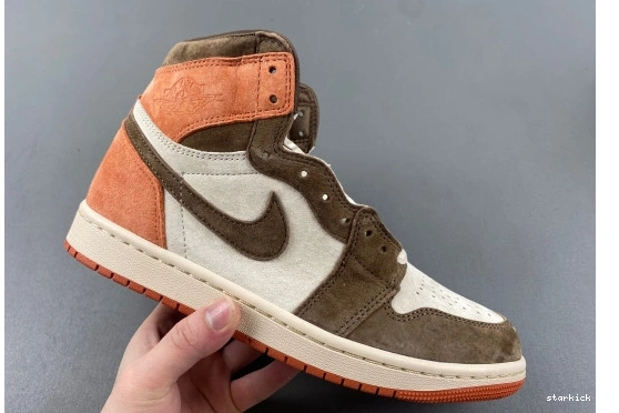 OG Jordan Dusted 1 SP  FQ2941-200 High FQ2941-200  Clay Retro 0117